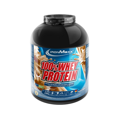 IronMaxx 100% Whey Protein Avelã ultraconcentrada Baixo Teor de Açúcar Melhor Perfil de Aminoácidos BCAAs e EAAs em Conservantes e Aspartame
IronMaxx 100% Whey Protein Hazelnut